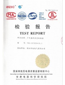 VS1檢驗報告